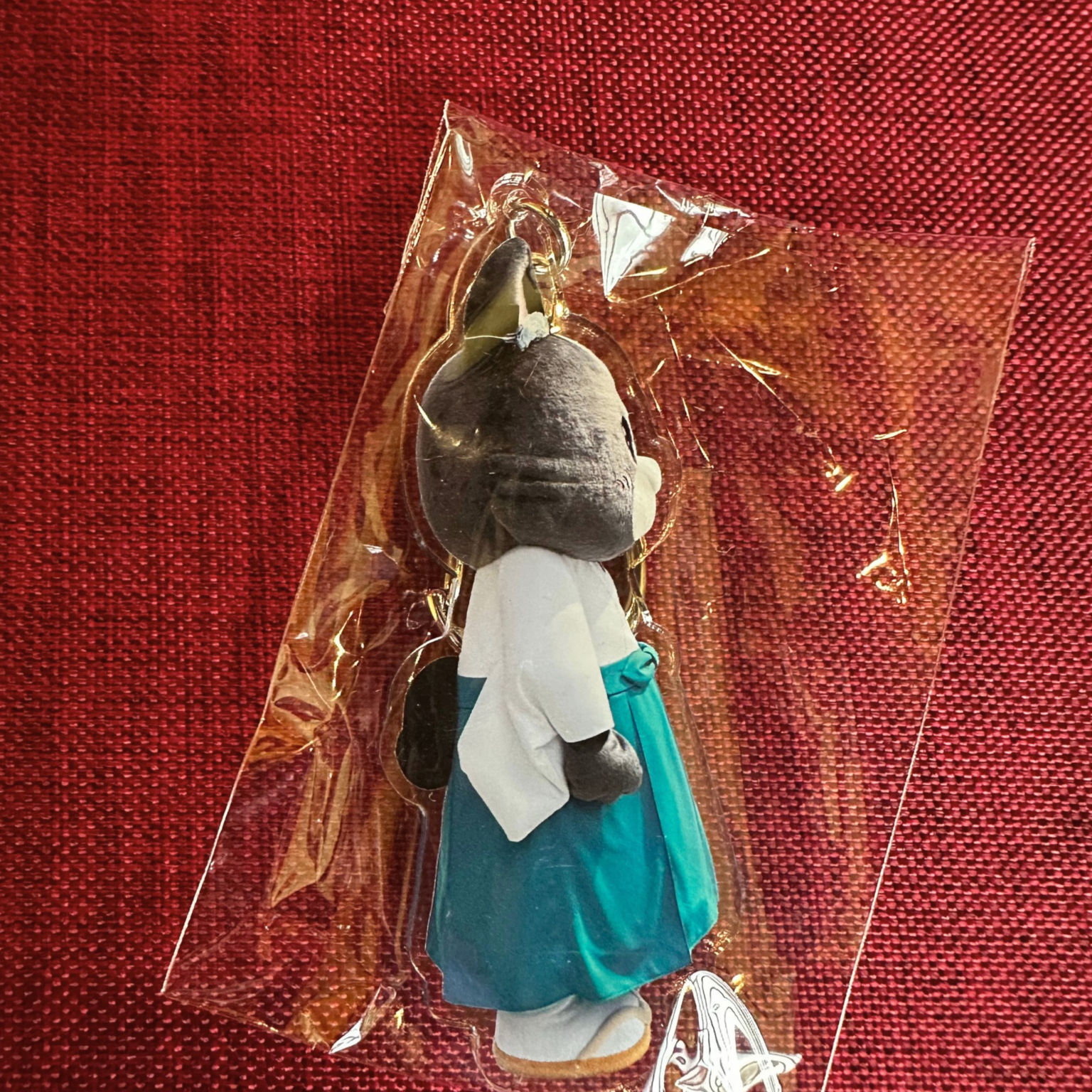 ブラックアクキー